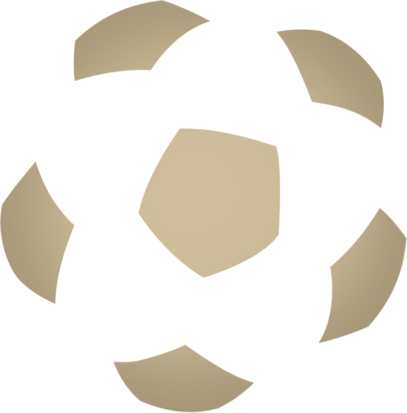 Fabryk futbolu logo - animacja